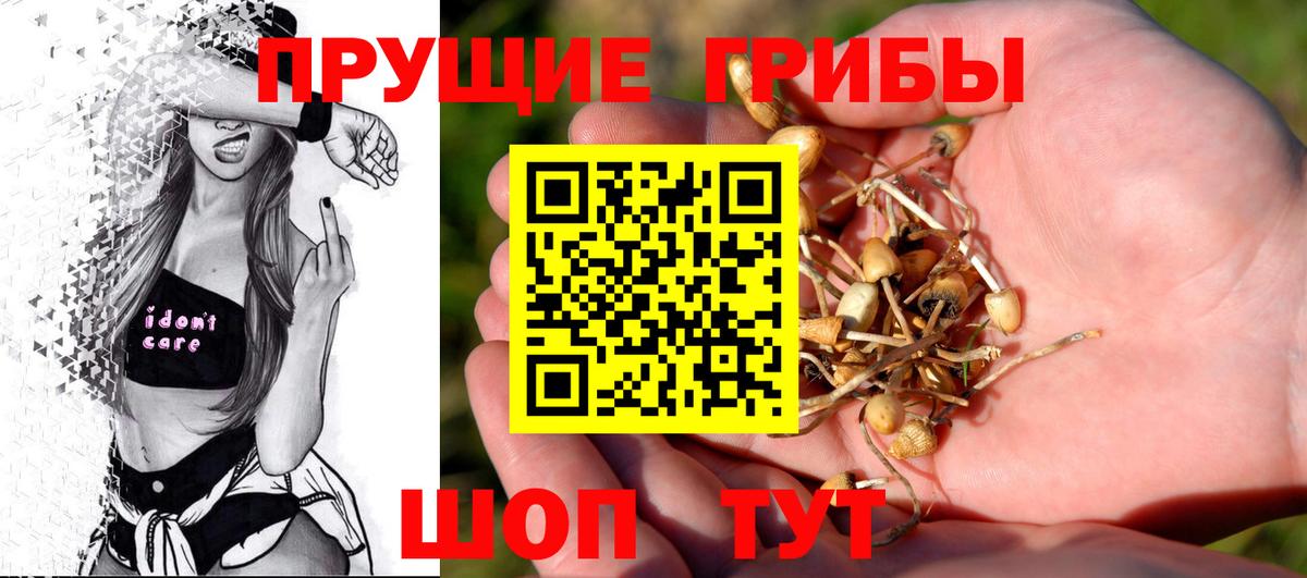 Псилоцибиновые грибы GOLDEN TEACHER Кушва